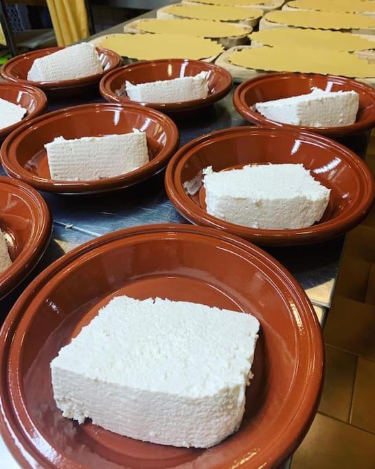 B&B Helga'S Agricampeggio Seùlo Εξωτερικό φωτογραφία
