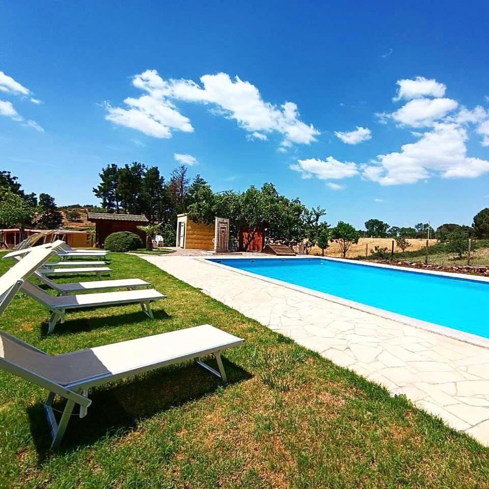 B&B Helga'S Agricampeggio Seùlo Εξωτερικό φωτογραφία