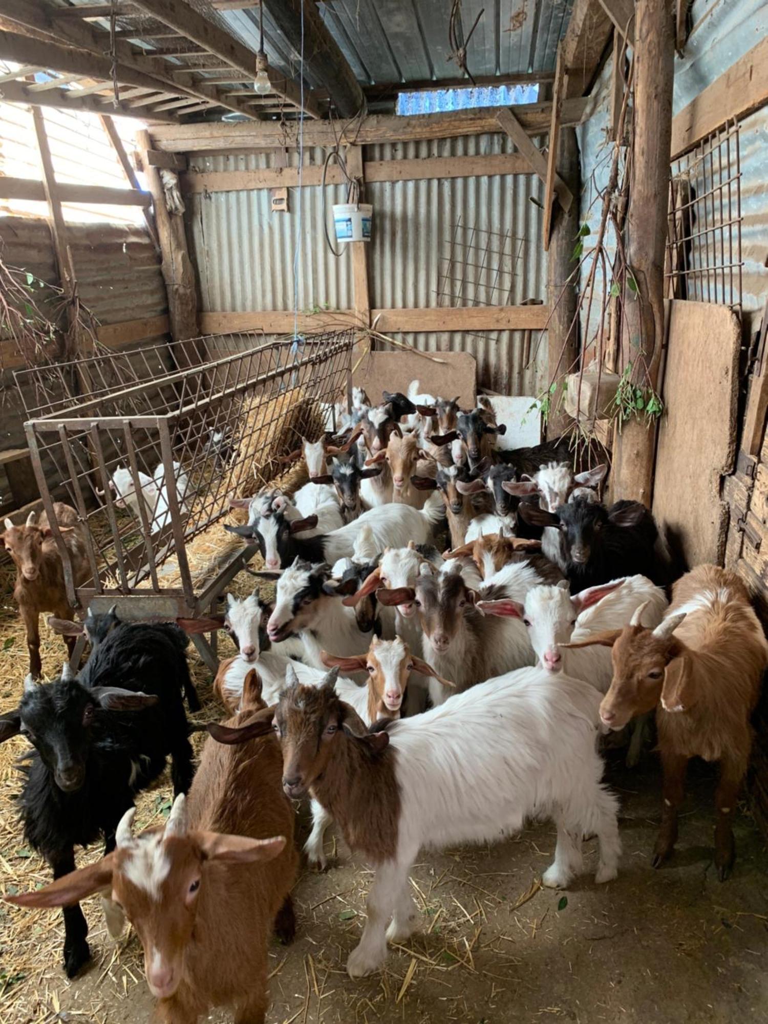 B&B Helga'S Agricampeggio Seùlo Εξωτερικό φωτογραφία